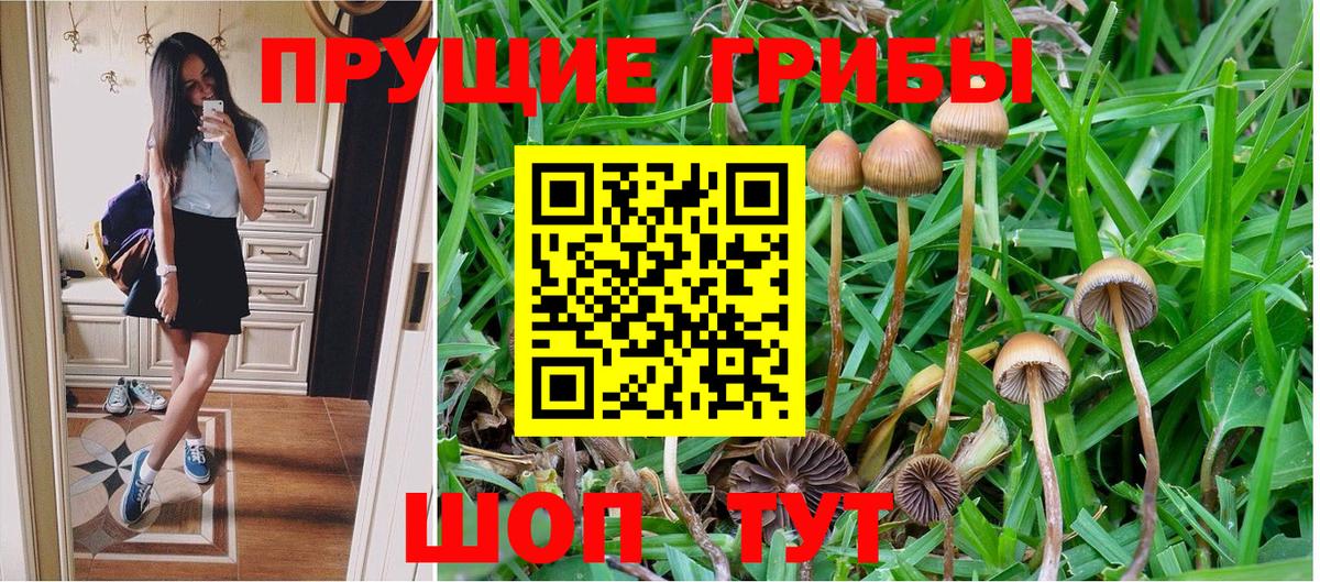 Родники  дарнет шоп  Вход с VPN  Псилоцибиновые грибы MAGIC MUSHROOMS 